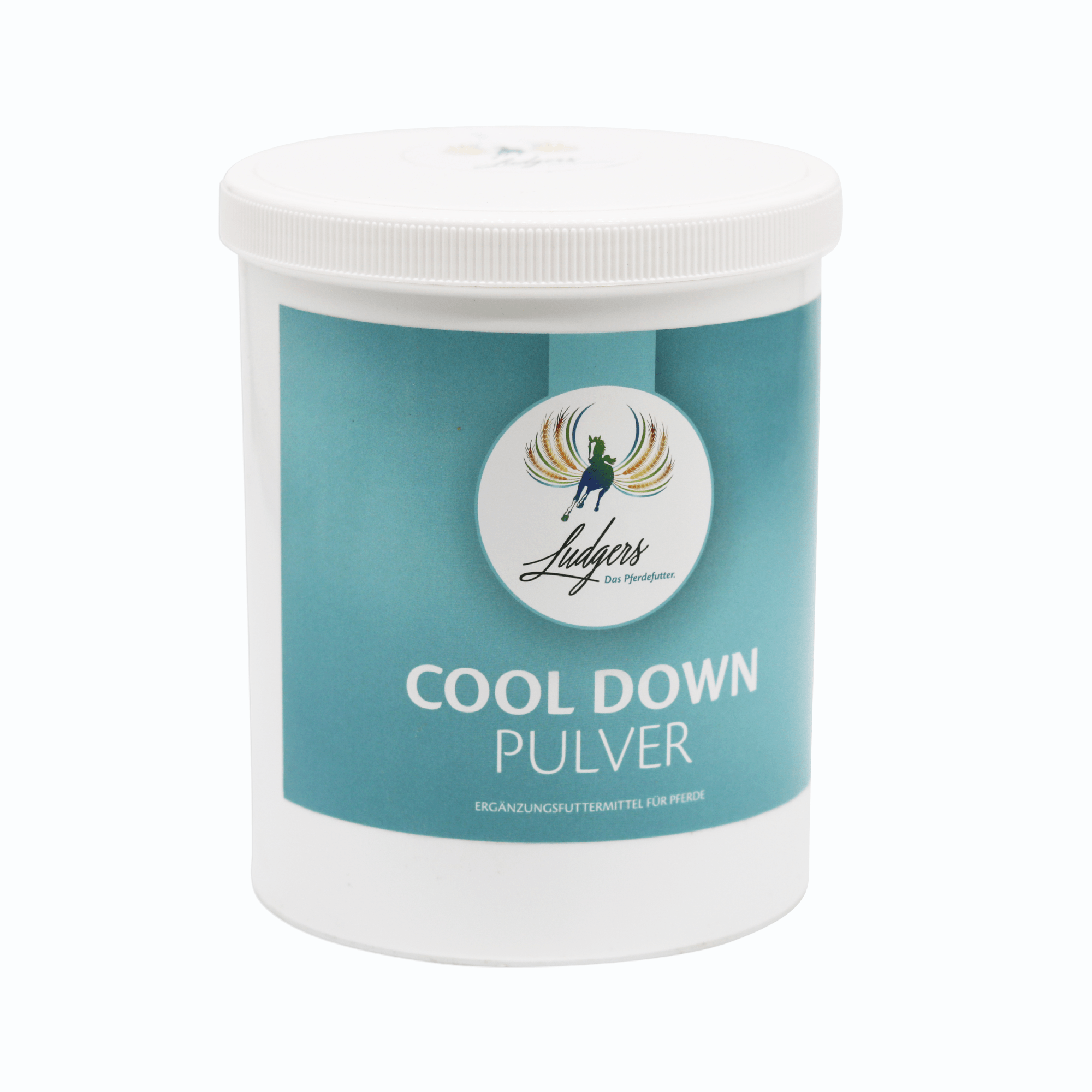 COOL DOWN | PULVER